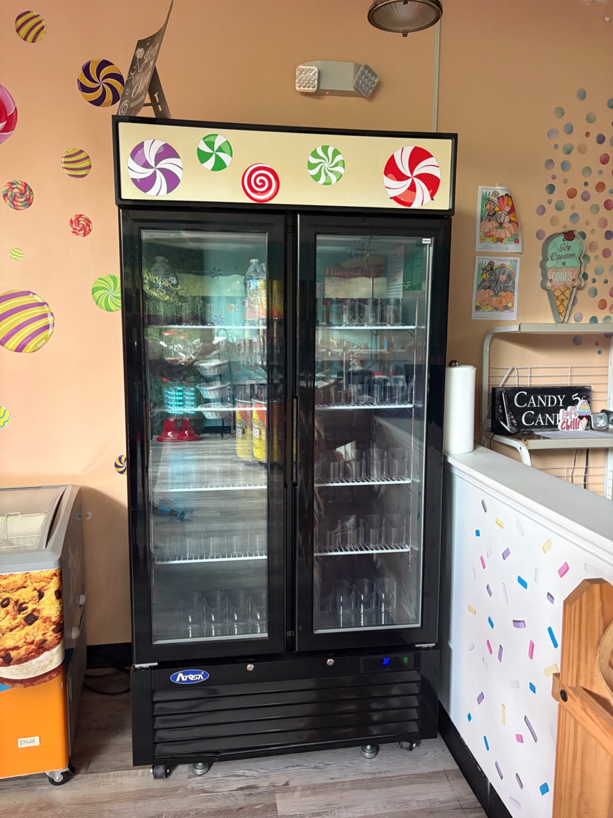 Arezzo Commercial Display Refrigerator