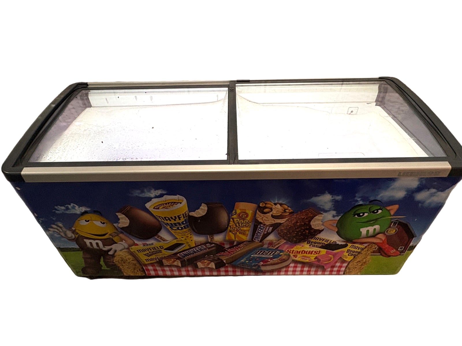 Ice Cream Freezer Display Case